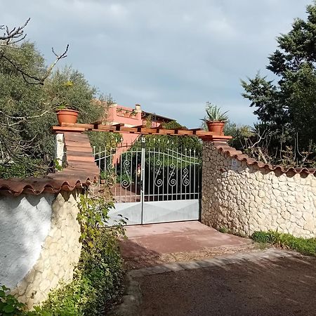 Appartamento Il Vecchio Lentisco Alghero Esterno foto