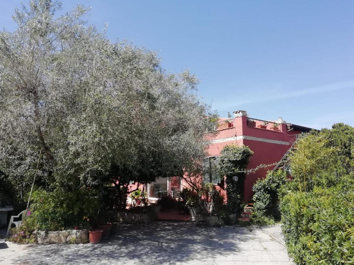Appartamento Il Vecchio Lentisco Alghero Esterno foto