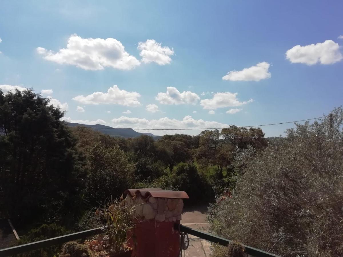 Appartamento Il Vecchio Lentisco Alghero Esterno foto