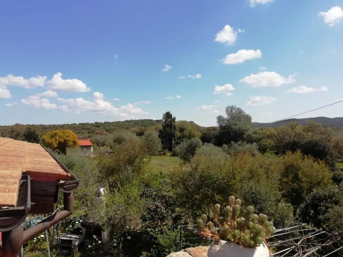 Appartamento Il Vecchio Lentisco Alghero Esterno foto