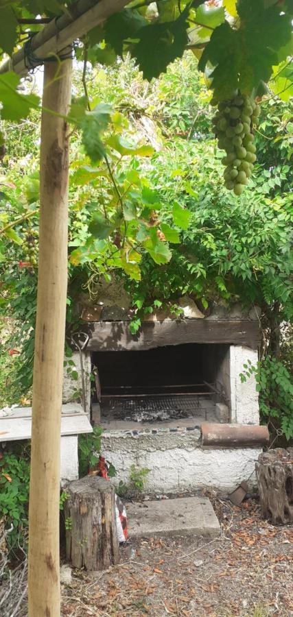 Appartamento Il Vecchio Lentisco Alghero Esterno foto